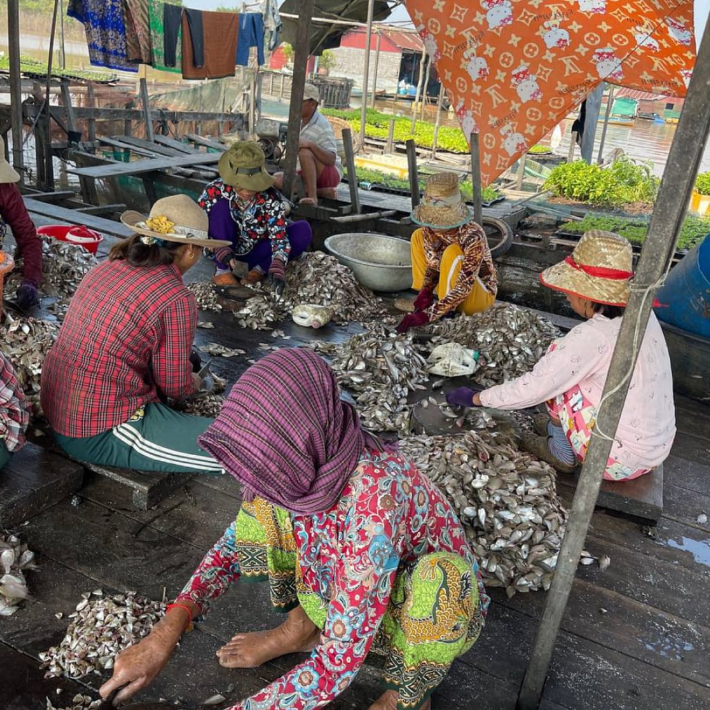 Village people make Fish paste as part of their daily life work