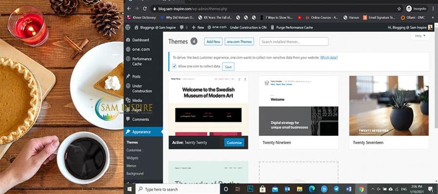 Create WP Pro Website 2021 18