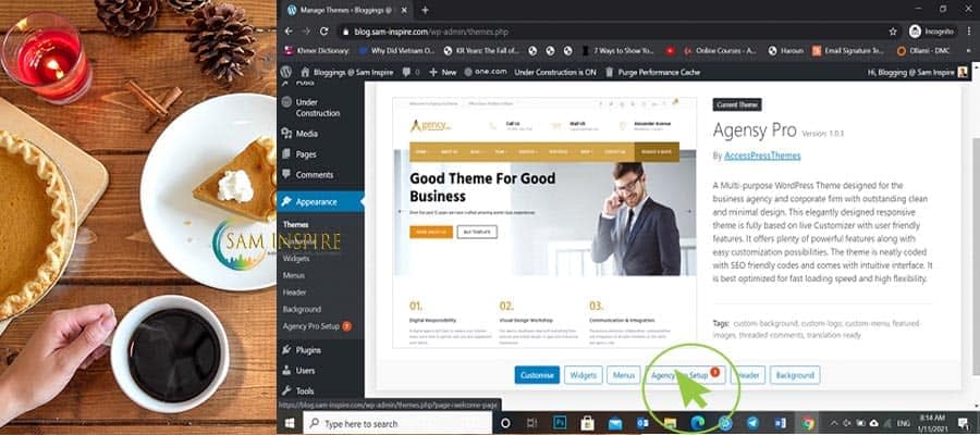 Create WP Pro Website 2021 37