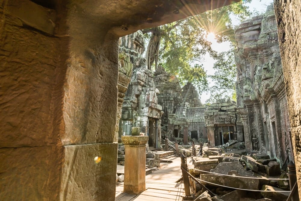 Tour Ta Prohm Tom Raider Jungle temple for corporate events